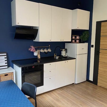 Przytulny I Nowoczesny Apartament Malgosi, 10 Min Pieszo Od Dworca I Galerii Katowice Luaran gambar